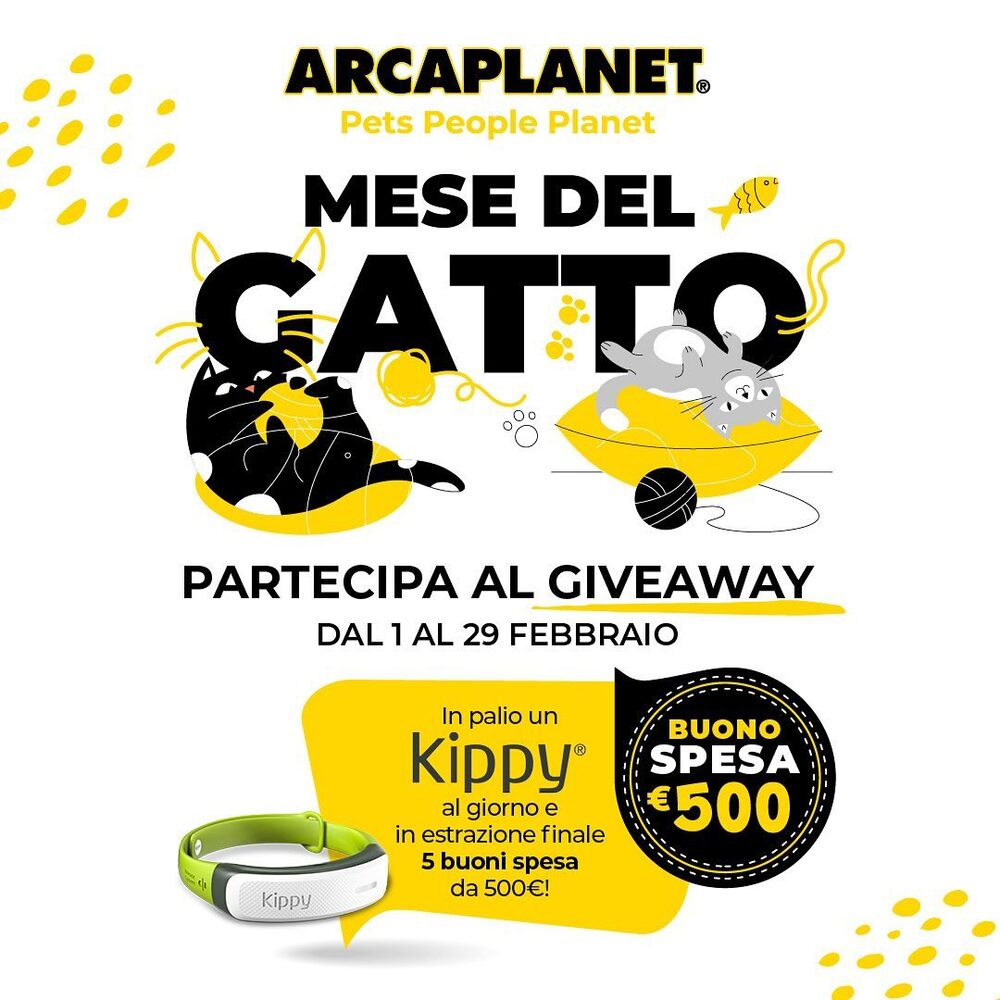 Arcaplanet Instagram contest