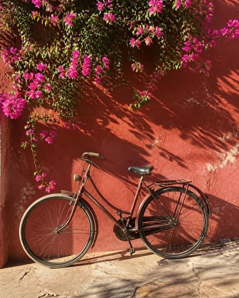 Photo submitted by a photo contest participant